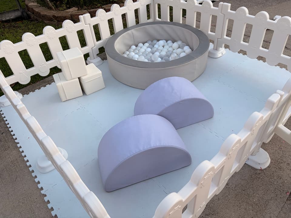 Micro Polar Bear Rental